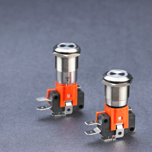 L19B High current anti vandal switch