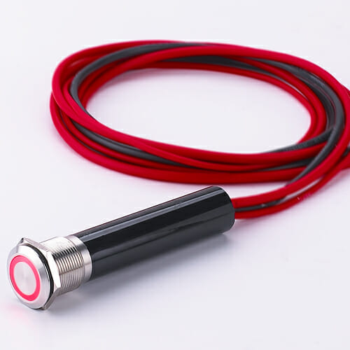 L19Y High current anti vandal switch