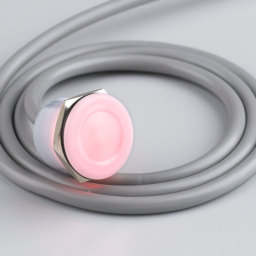 Plastic Piezo switch