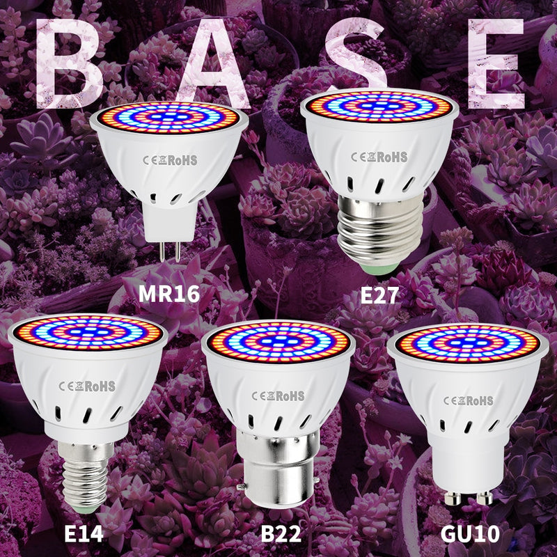 E27 220V LED Grow Light GU10 Fitolamp E14 LED Lampe für Pflanzen 48 60LEDs Vollspektrum MR16 Phyto Lampe GU5.3 Sämling Pflanzenlicht