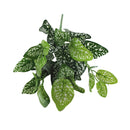 New Artificial Shrubs Creative Decorative Artificial Plant Ferns Simulation Plant Plastic Flower Fern Wall Material Accessories