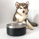 Seven color Stainless Steel bowl, Non-Slip Dog Bowl, Holds 64oz