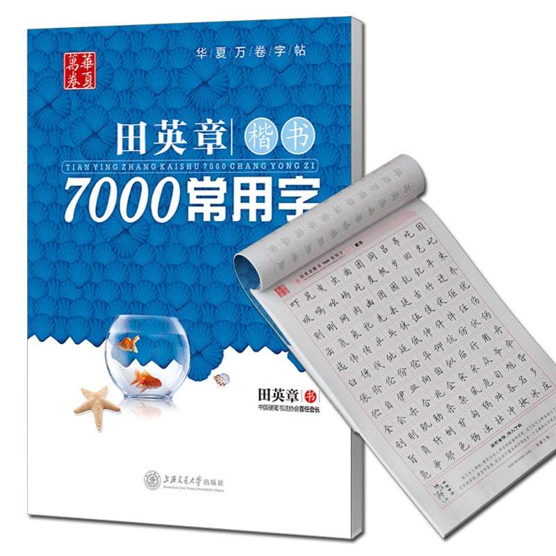 Cuaderno de caracteres chinos comunes de 7000, bolígrafo chino, cuaderno de caligrafía, escritura Regular