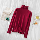 Turtleneck Women Sweaters 2020 Autumn Winter Sweater Knitted Pullover Long Sleeve Woman Sweaters Tops Soft Jumper Pull Femme