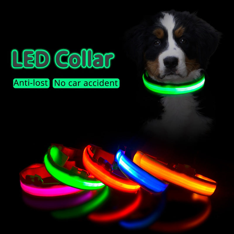 Collar de perro Led con carga USB, Collar antipérdida/para evitar accidentes de coche para perros, cachorros, collares para perros, suministros LED, productos para mascotas