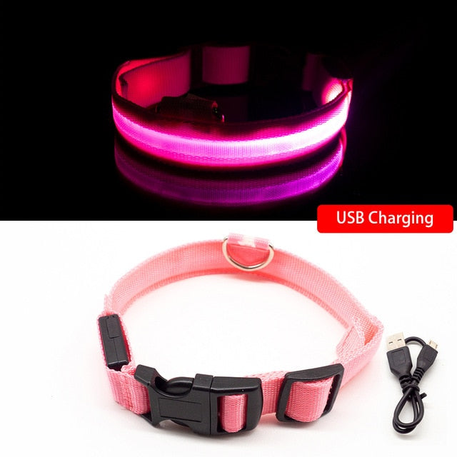 USB-Lade-LED-Hundehalsband Anti-Lost/Avoid Autounfall-Halsband für Hunde Welpen Hundehalsbänder führen LED-Zubehör Haustierprodukte