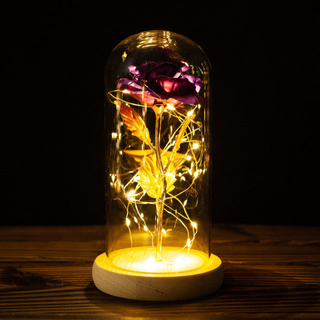 Valentinstagsgeschenk für Freundin Ewige Rose LED-Lichtfolie Blume in Glasabdeckung Muttertag Hochzeitsbevorzugung Brautjungferngeschenk
