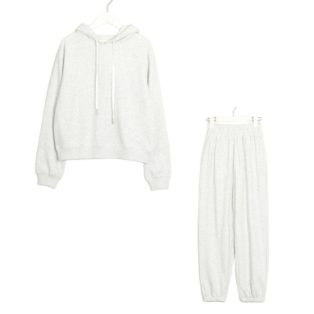 Wixra Womens Basic Cotton Sweatshirts Sets Early Spring Hoodies + Hosen mit elastischer Taille Lässige Anzüge Streetwear