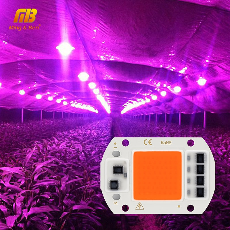 LED Grow COB Chip Phyto Lamp Full Spectrum AC220V 10W 20W 30W 50W para plantas de interior Crecimiento de plántulas y crecimiento de flores Fitolamp