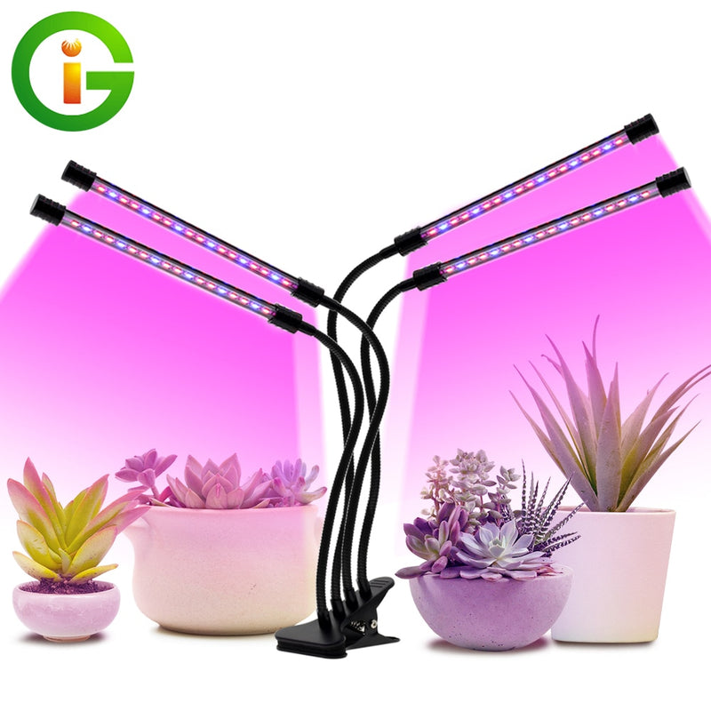 5V LED Grow Light USB Phyto Lamp Full Spectrum Fitolampy con control para plantas plántulas Flor Interior Fitolamp Grow Box