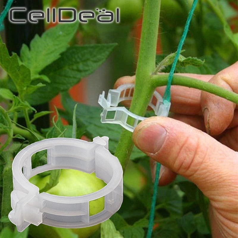 Clips de plástico para plantas de 50/100 Uds., soportes para conexiones, protección reutilizable, herramienta de fijación de injertos, suministros de jardinería para tomate vegetal