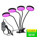 5V LED Grow Light USB Phyto Lamp Full Spectrum Fitolampy con control para plantas plántulas Flor Interior Fitolamp Grow Box