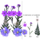 Small Real Dried Flower Natural Dry Plants For Candle Epoxy Resin Pendant Necklace Jewelry Making Craft DIY Accessori