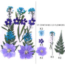 Small Real Dried Flower Natural Dry Plants For Candle Epoxy Resin Pendant Necklace Jewelry Making Craft DIY Accessori