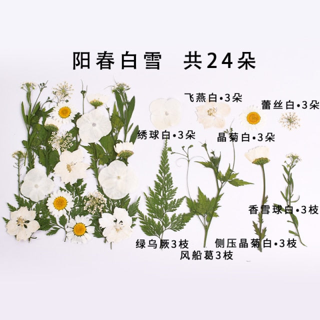 Small Real Dried Flower Natural Dry Plants For Candle Epoxy Resin Pendant Necklace Jewelry Making Craft DIY Accessori