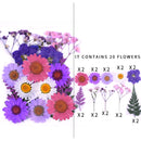 Small Real Dried Flower Natural Dry Plants For Candle Epoxy Resin Pendant Necklace Jewelry Making Craft DIY Accessori