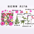 Small Real Dried Flower Natural Dry Plants For Candle Epoxy Resin Pendant Necklace Jewelry Making Craft DIY Accessori