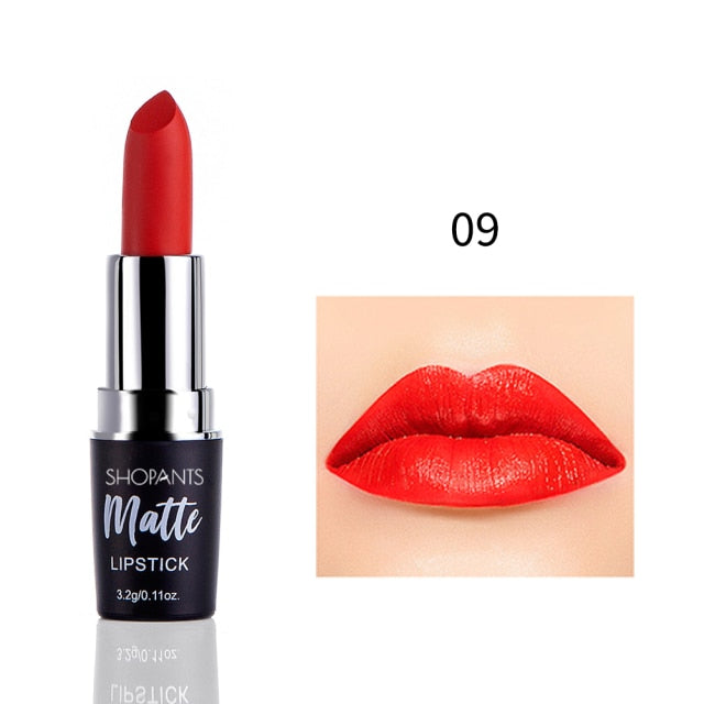 4 colores/juego de lápiz labial coreano mate de larga duración humedad cosmética labios maquillaje impermeable tubo de humo lápiz labial terciopelo rojo labio