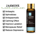 10ML lavanda eucalipto aceites esenciales puros rosa limón jazmín vainilla menta sándalo bergamota árbol de té difusor aceite aromático