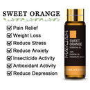 10ML lavanda eucalipto aceites esenciales puros rosa limón jazmín vainilla menta sándalo bergamota árbol de té difusor aceite aromático