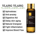 10ML lavanda eucalipto aceites esenciales puros rosa limón jazmín vainilla menta sándalo bergamota árbol de té difusor aceite aromático