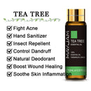 10ML lavanda eucalipto aceites esenciales puros rosa limón jazmín vainilla menta sándalo bergamota árbol de té difusor aceite aromático