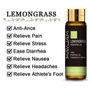 10ML lavanda eucalipto aceites esenciales puros rosa limón jazmín vainilla menta sándalo bergamota árbol de té difusor aceite aromático