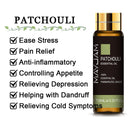 10ML lavanda eucalipto aceites esenciales puros rosa limón jazmín vainilla menta sándalo bergamota árbol de té difusor aceite aromático