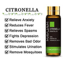 10ML lavanda eucalipto aceites esenciales puros rosa limón jazmín vainilla menta sándalo bergamota árbol de té difusor aceite aromático