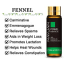 10ML lavanda eucalipto aceites esenciales puros rosa limón jazmín vainilla menta sándalo bergamota árbol de té difusor aceite aromático