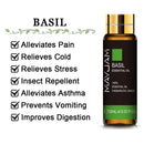 10ML lavanda eucalipto aceites esenciales puros rosa limón jazmín vainilla menta sándalo bergamota árbol de té difusor aceite aromático