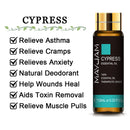 10ML lavanda eucalipto aceites esenciales puros rosa limón jazmín vainilla menta sándalo bergamota árbol de té difusor aceite aromático