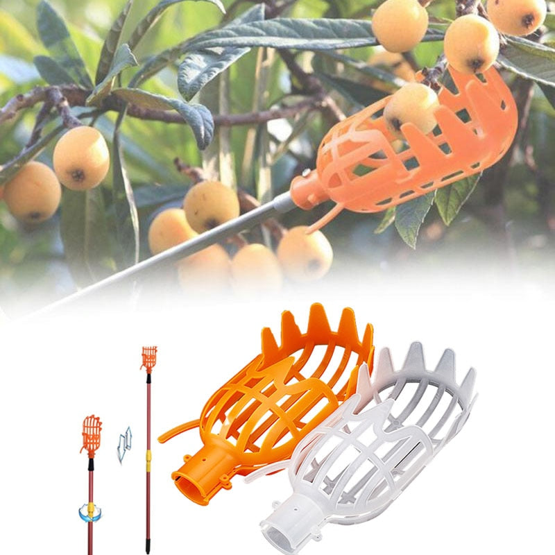 Cesta de jardín, cabezal de recolección de frutas, herramienta de recolección de frutas de plástico multicolor, suministros de recolección de azufaifa de Bayberry agrícola