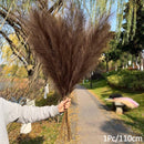1Pcs Artificial Pampas Grass Home Room Decor Simulation Reed Flower Bouquet DIY Wedding Decoration Birthday Party Supplies