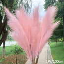 1Pcs Artificial Pampas Grass Home Room Decor Simulation Reed Flower Bouquet DIY Wedding Decoration Birthday Party Supplies