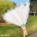1Pcs Artificial Pampas Grass Home Room Decor Simulation Reed Flower Bouquet DIY Wedding Decoration Birthday Party Supplies