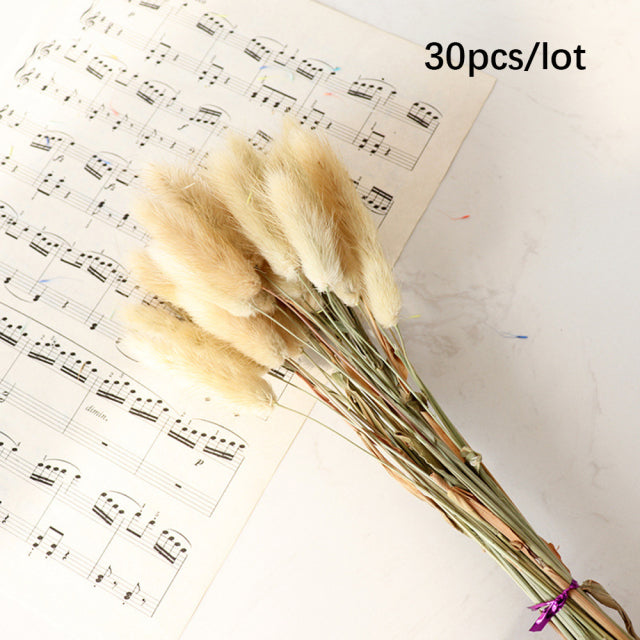 30Pcs Natural Dried Flower Ear of Oats Bouquets Small Reed Flower Bunch Pampas Grass Ornaments Artificial Plants Home Decoration