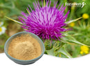 Milk Thistle Extract